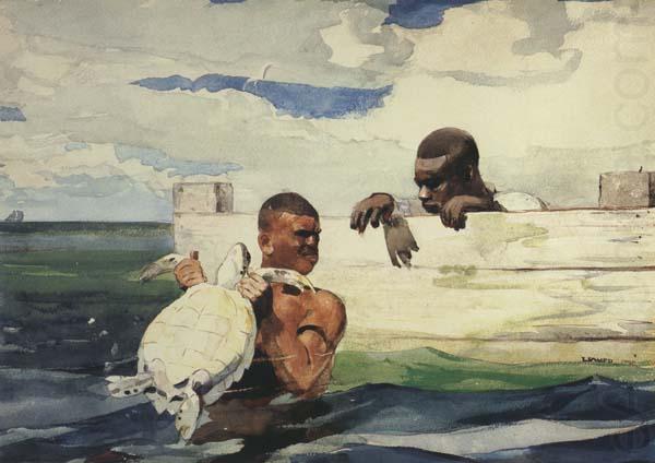 The Turtle Pound (mk44), Winslow Homer